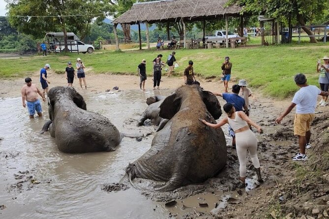Erawan Waterfall and Elephant care from Bangkok -Private Tour - The return journey to Bangkok