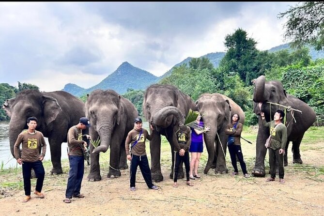 Erawan Waterfall and Elephant care from Bangkok -Private Tour - Who will enjoy this day most