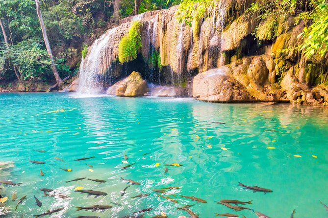 Erawan Waterfall and Elephant Care: Private Tour to Kanchanabur - What the private format adds
