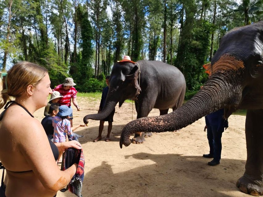 Ethical Elephant Sanctuary Experience in Khao Lak - Important limits before you book