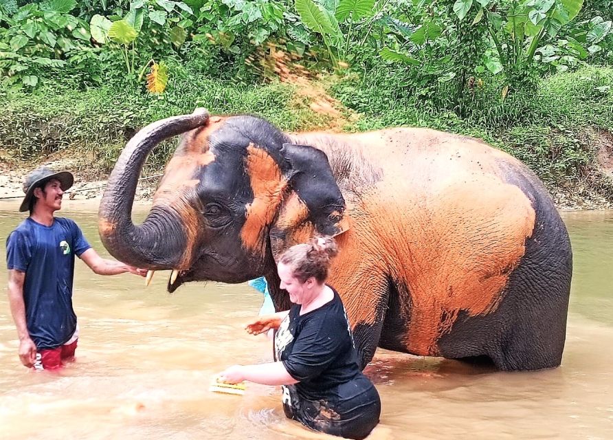 Ethical Elephant Sanctuary Experience in Khao Lak - A quieter way to meet Thailand’s elephants
