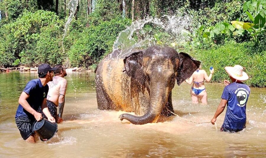 Ethical Elephant Sanctuary Experience in Khao Lak - The observation walk and possible mud bath