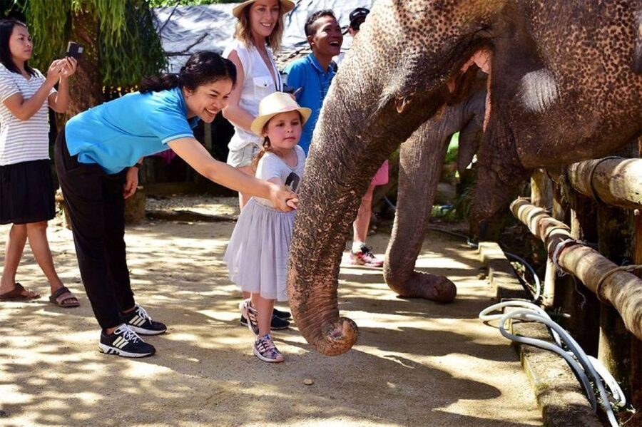 Ethical Elephant Sanctuary Experience in Khao Lak - What the experience gets right