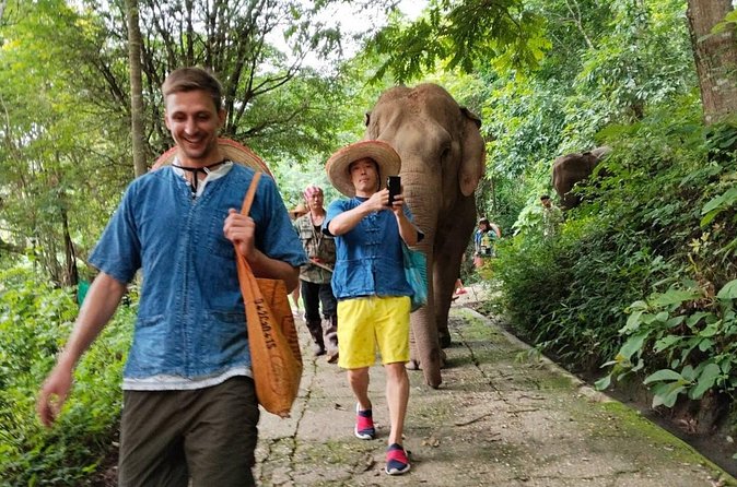 Ethical Elephant Visit and White Water Rafting in Chiang Mai - Feeding and walking instead of riding