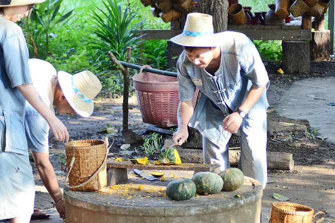 Experience Elephant Sanctuary + Sticky Waterfall - How the $94.11 price measures up