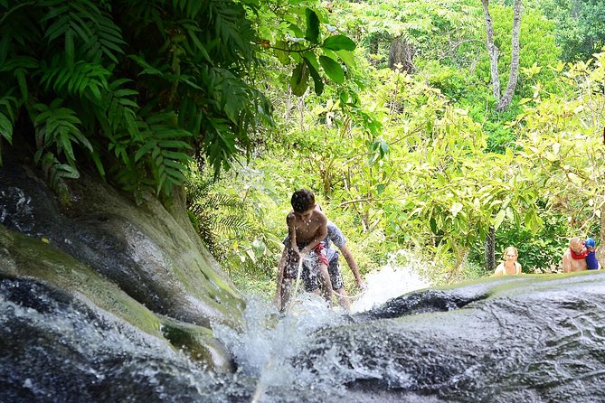 Experience Elephant Sanctuary + Sticky Waterfall - Who will enjoy this Chiang Mai day trip