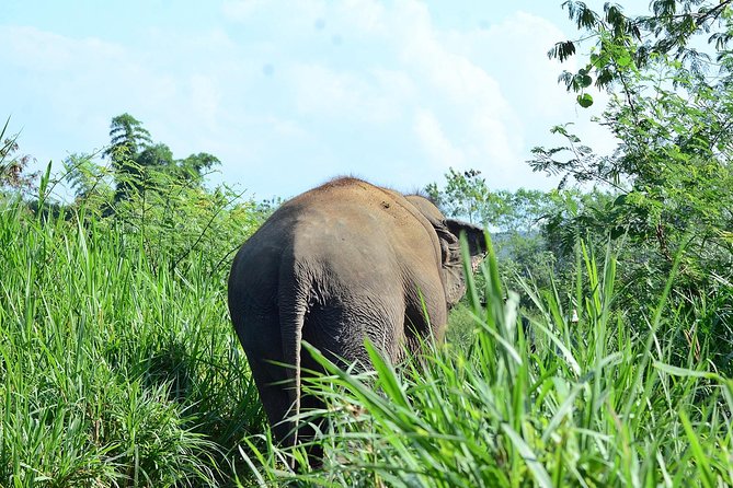 Experience Elephant Sanctuary + Sticky Waterfall - Changing clothes before meeting the elephants