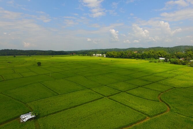 FIELDS OF GOLD Mountain Biking Tour Chiang Mai - A long ride with a manageable group