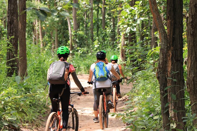FIELDS OF GOLD Mountain Biking Tour Chiang Mai - Riding through farms and rice fields