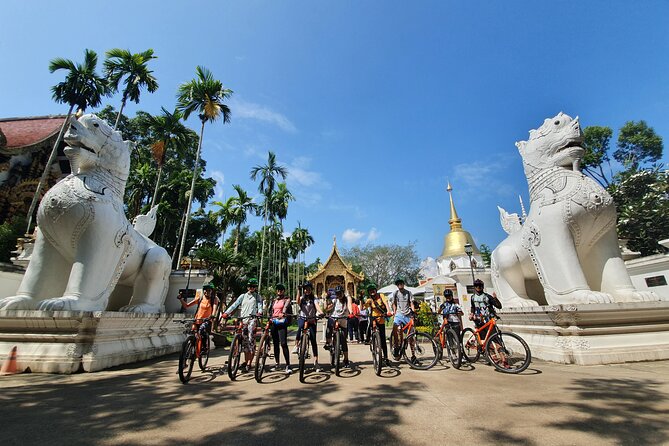 FIELDS OF GOLD Mountain Biking Tour Chiang Mai - Food, drinks, and the practical comfort level