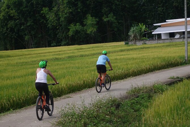FIELDS OF GOLD Mountain Biking Tour Chiang Mai - Is $66.63 a fair price?
