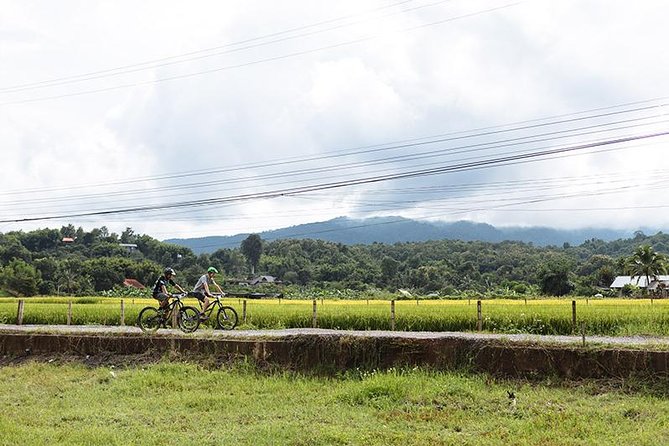 FIELDS OF GOLD Mountain Biking Tour Chiang Mai - Starting with coffee at the trailhead