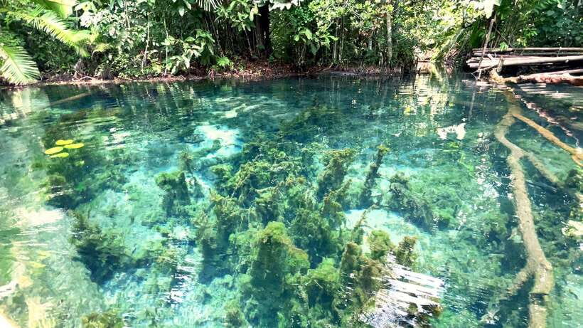 From Ao Nang: Kayaking at Klong Rud with Hotel Transfers - How long should you allow?