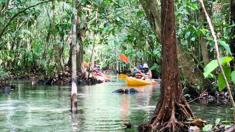 From Ao Nang: Kayaking at Klong Rud with Hotel Transfers - Who will enjoy this most?