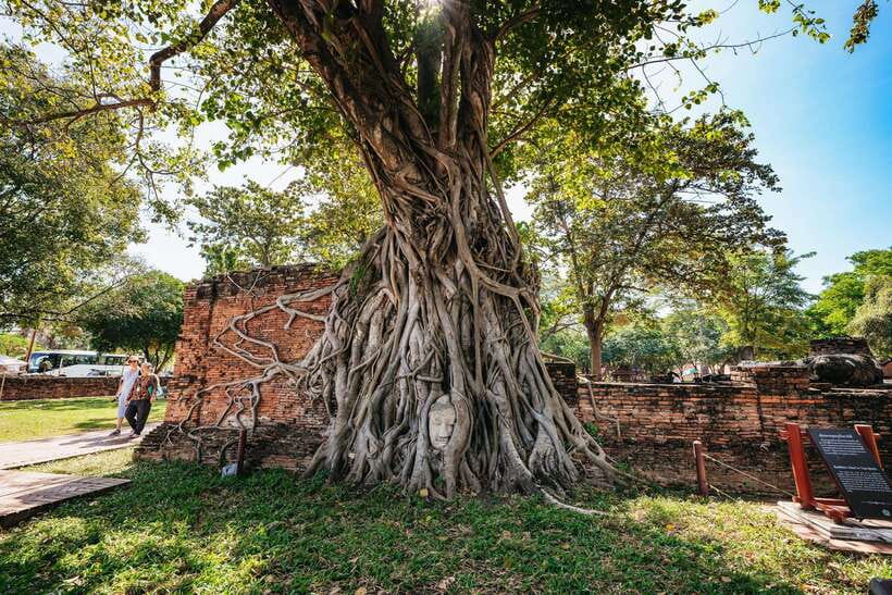 From Bangkok: Ayutthaya Temples Guided Tour with Lunch - Why Ayutthaya works as a Bangkok day trip