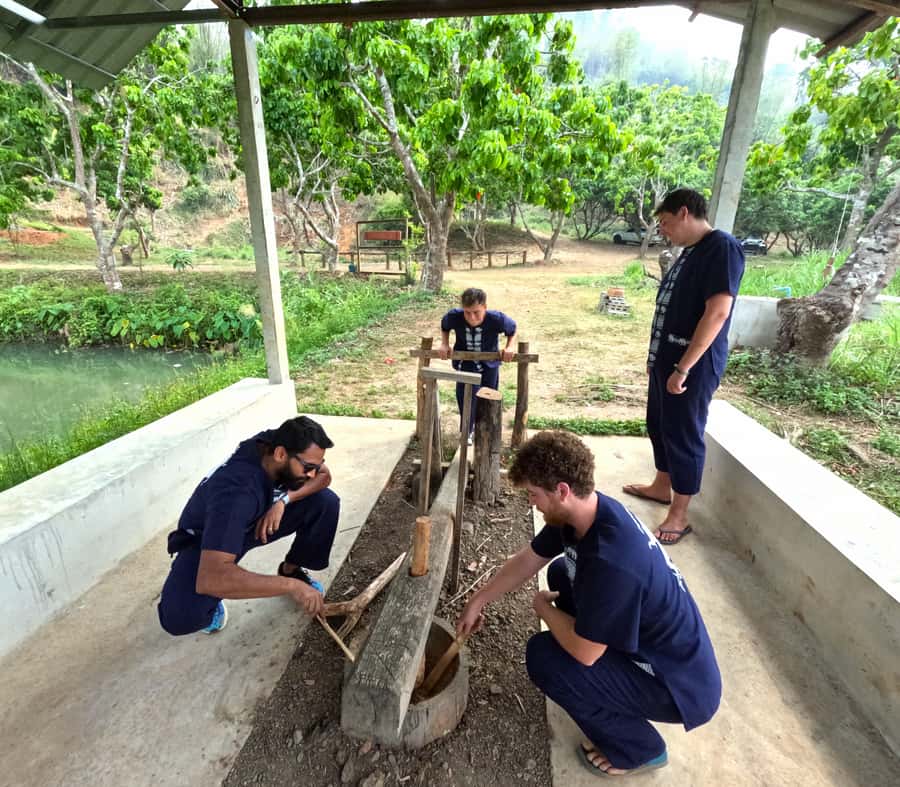 From Chiang Mai: Chiang Mai Elephant Care Morning Program - Who should book this morning?