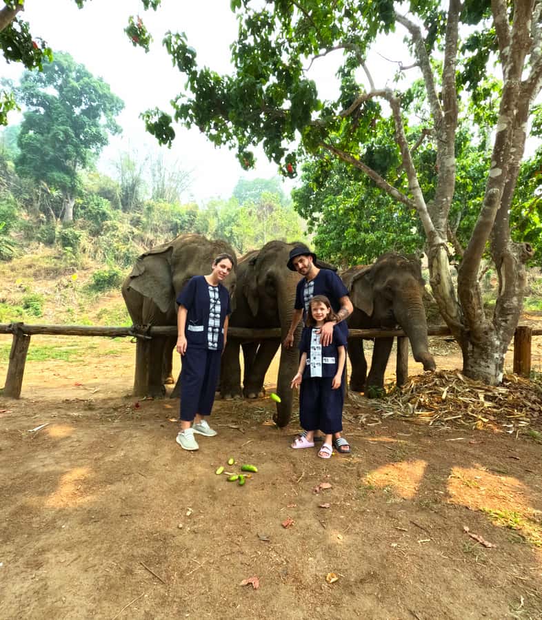 From Chiang Mai: Chiang Mai Elephant Care Morning Program - Is $54 a fair price?