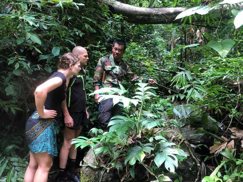 From Chiang Mai: Doi Saket Hiking Tour with Lunch - The 8:00 pickup and long ride east