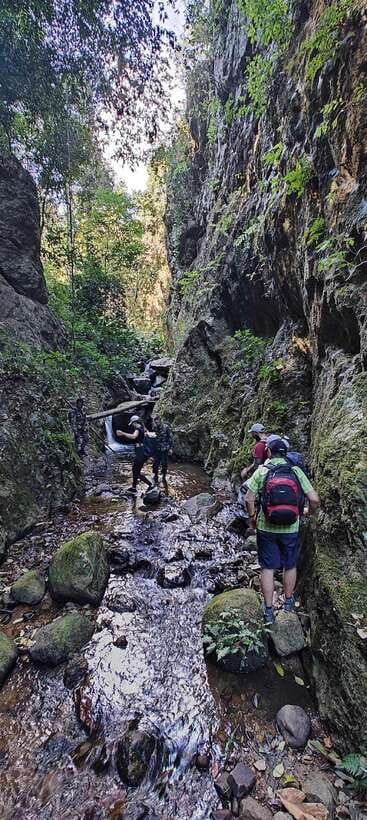 From Chiang Mai: Doi Saket Hiking Tour with Lunch - Learning the forest with Troy and his team