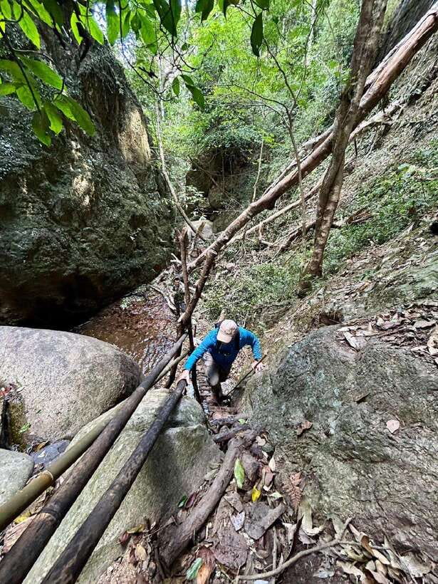 From Chiang Mai: Doi Saket Hiking Tour with Lunch - What the $57 price includes