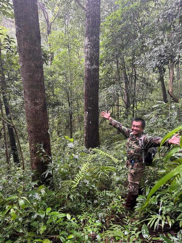 From Chiang Mai: Doi Saket Hiking Tour with Lunch - From village paths to old forest