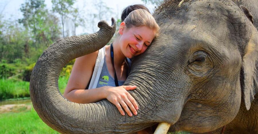 From Chiang Mai: Elephant Care Program and Nursery Tour - From Chiang Mai to the Mae Tang countryside