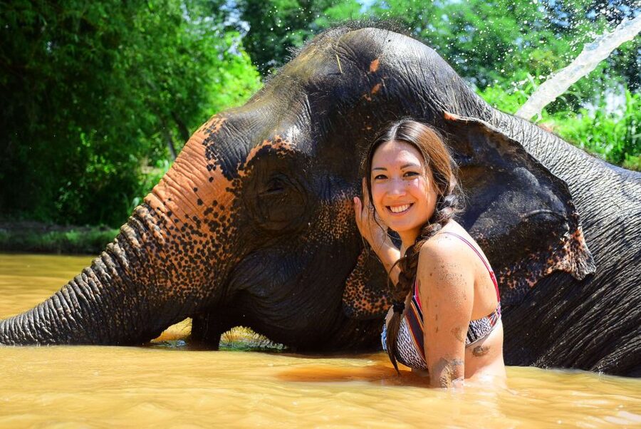 From Chiang Mai: Elephant Care Program and Nursery Tour - Washing the elephants and getting thoroughly soaked
