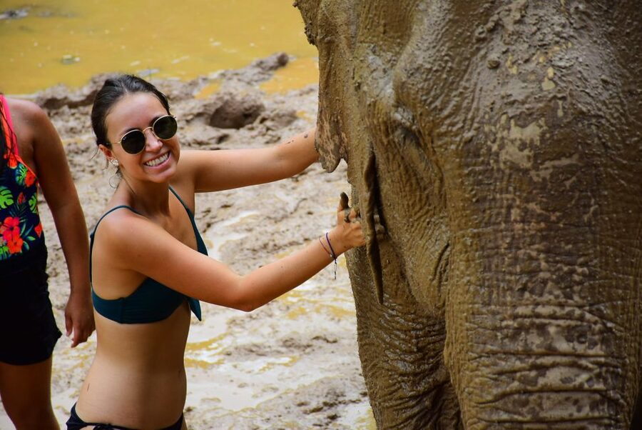 From Chiang Mai: Elephant Care Program and Nursery Tour - How ethical is this elephant program?