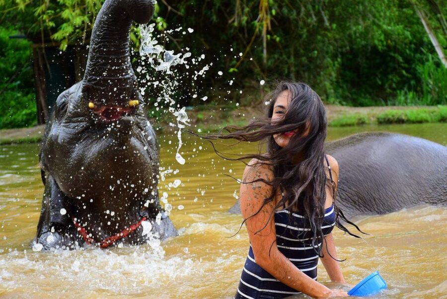 From Chiang Mai: Elephant Care Program and Nursery Tour - Group size, guides, and the feel of the day