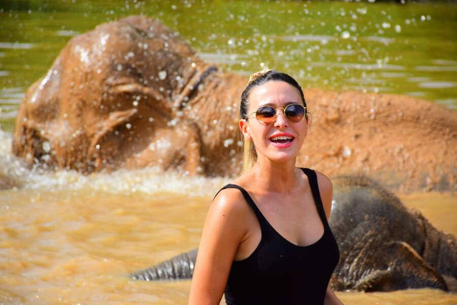 From Chiang Mai: Elephant Care Program and Nursery Tour - Is the $53 price good value?