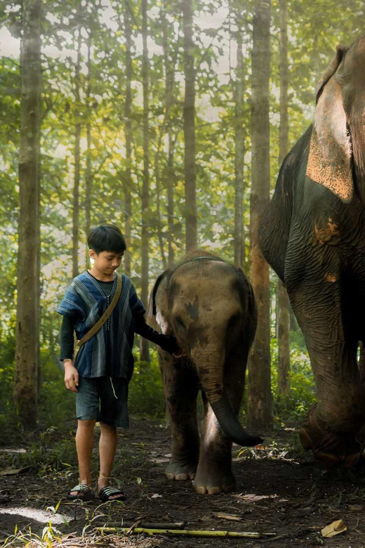 From Chiang Mai: Kerchor Eco Elephant Park Tour - How ethical does the elephant encounter feel?