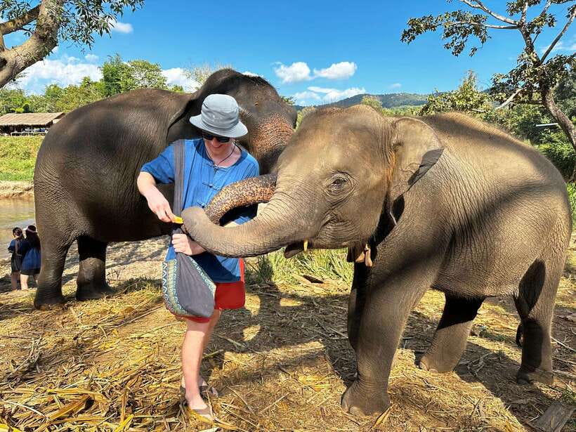 From Chiang Mai: Living Green Elephant Sanctuary Tour - Key points before you book