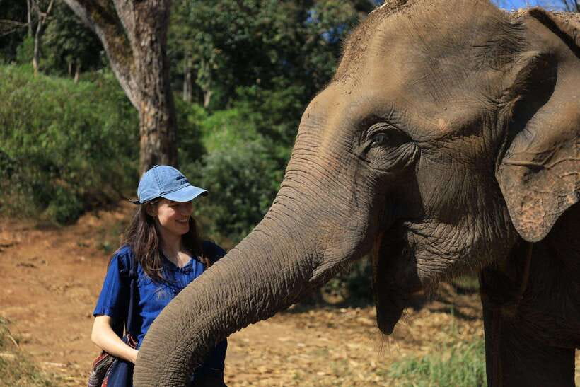 From Chiang Mai: Living Green Elephant Sanctuary Tour - The 1.5-hour journey from Chiang Mai