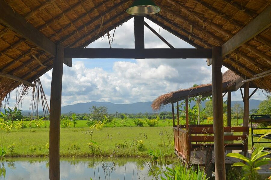 From Chiang Mai: Mae Taeng Valley and Waterfalls Cycle Tour - Riding through rice fields and village life