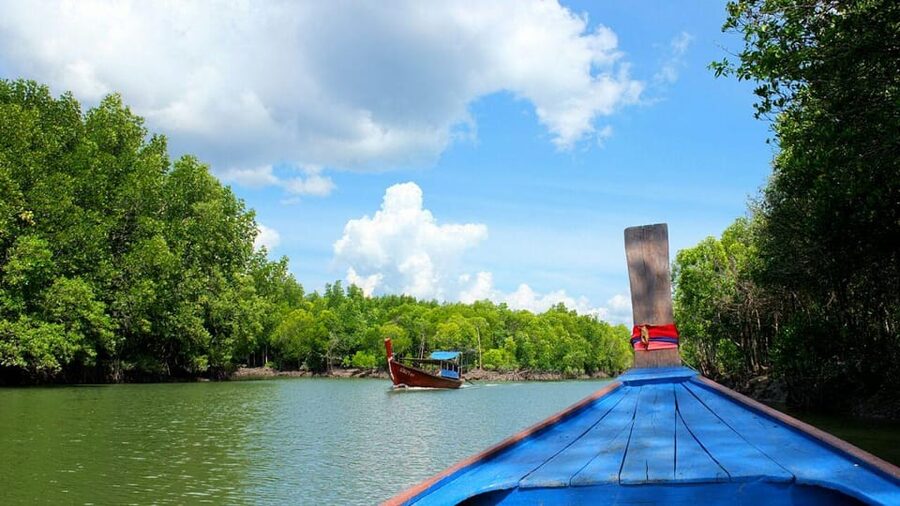 From Ko Lanta: Mangrove Eco-Excursion by Longtail Boat - The longtail ride through the mangroves