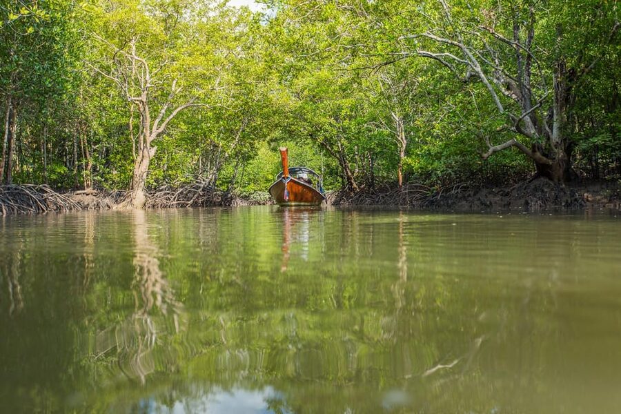 From Ko Lanta: Mangrove Eco-Excursion by Longtail Boat - The fish farm shows the working side of conservation