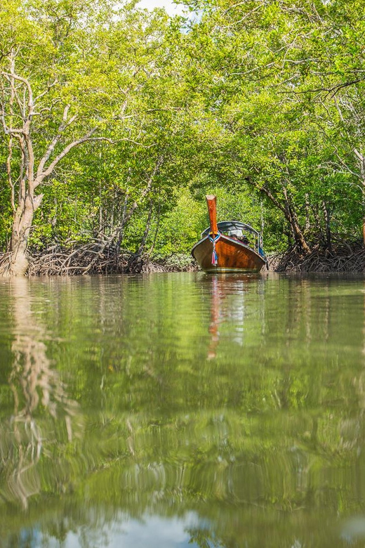 From Ko Lanta: Mangrove Eco-Excursion by Longtail Boat - Lunch beside the trees keeps the outing simple