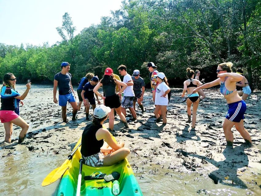 From Ko Lanta: Mangrove Eco-Excursion by Longtail Boat - How the four-hour schedule works