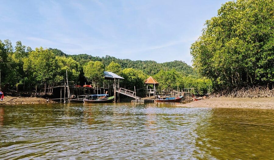 From Ko Lanta: Mangrove Eco-Excursion by Longtail Boat - Hotel pickup sets the tone for the morning