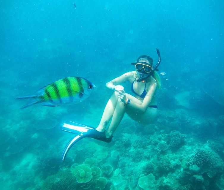 From Koh Lanta: Koh Haa & Koh Rok Snorkel Tour by Speedboat - Practical booking advice