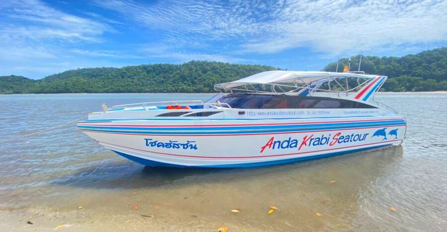 From Krabi: Phi Phi Island Full-Day Private Speed Boat Tour - Phi Phi Don: lunch, town, or a viewpoint