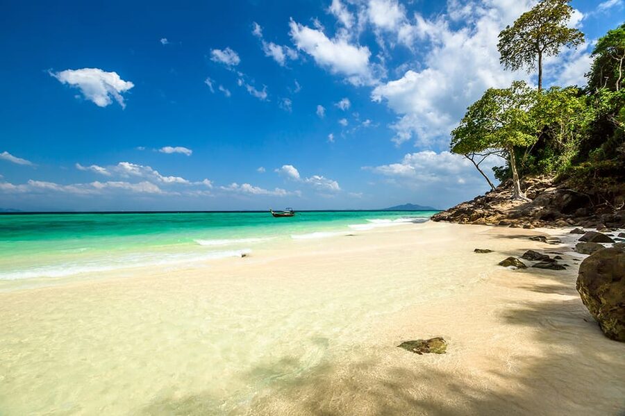 From Krabi: Phi Phi Islands Speedboat Day Tour - Key points to know before booking