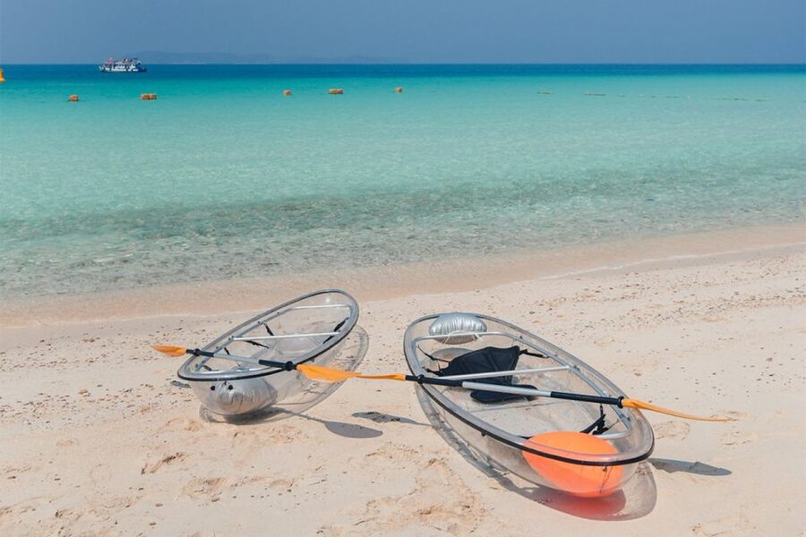 From Pattaya/Bangkok: Island Day Trip with Beach Activities - Organization, group size, and the tour’s rough edges