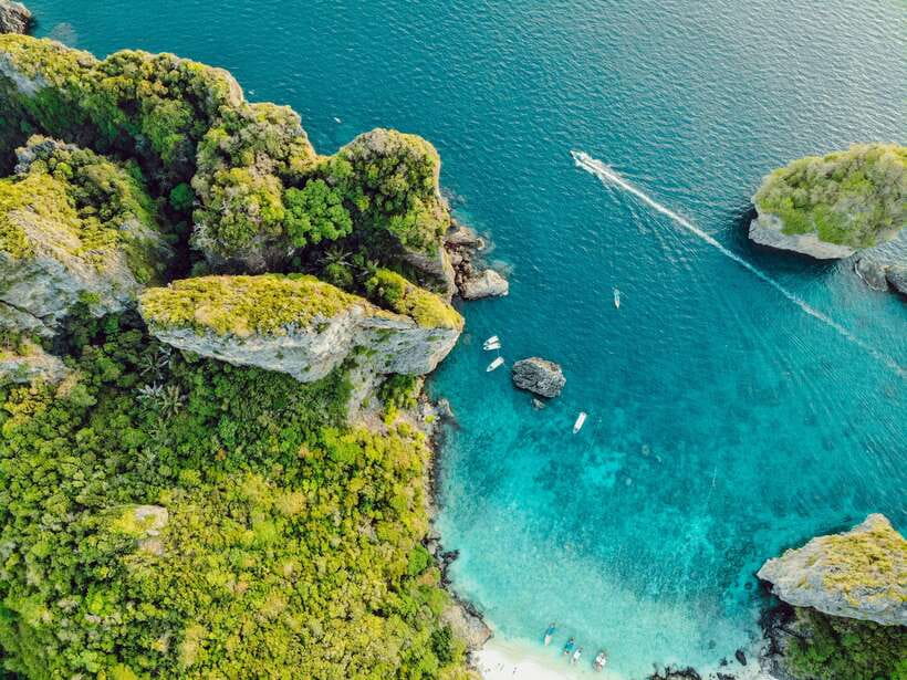 From Phi Phi: Full Day 7 Island Tour by Longtail with Sunset - Shark Point: snorkeling with blacktip reef sharks