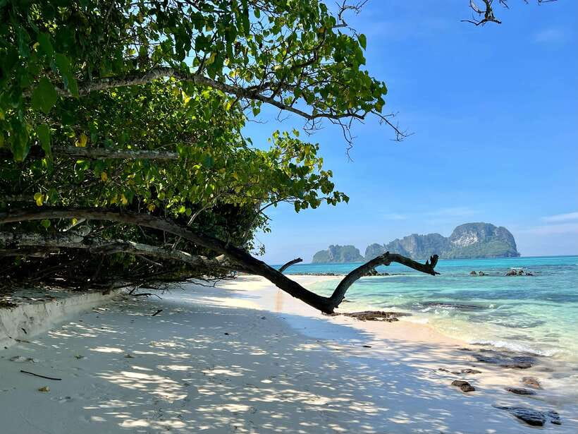 From Phi Phi: Full Day by Longtail Boat with Sunset - Pileh Lagoon is the day’s best water stop