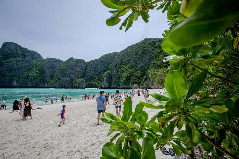 From Phi Phi: Half Day Longtail Boat Tour to Maya Bay - Monkey Beach: a quick look at wild macaques