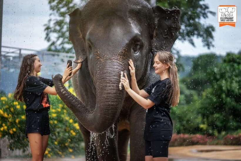 From Phuket: Elephant Jungle Sanctuary Feed and Shower Trip - Who will enjoy this sanctuary visit?