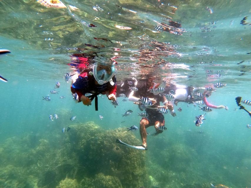 From Phuket: Phi Phi, Maya Bay, & Khai Islands Premium Trip - Guides, crew, and how the day is managed