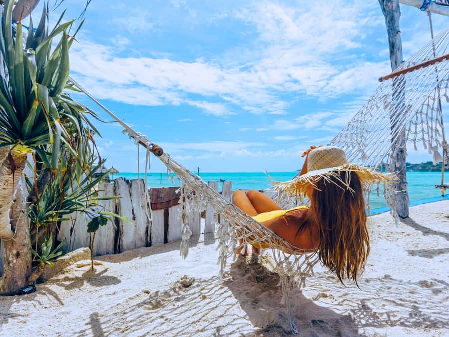 From Samui: Koh Tao and Nangyuan Snorkeling Tour Day Trip - Who will enjoy this Samui day trip