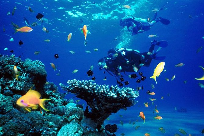 Full-Day Beginner Scuba Course with Private Tuition, Racha Yai - Racha Yai gives beginners two chances to settle in